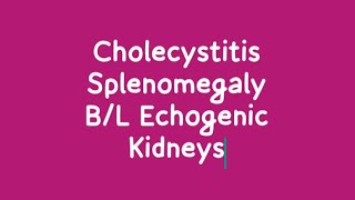 How to do usg Splenomegaly  Cholecystitis  Parenchymal Change on Ultrasound [upl. by Lerrehs]