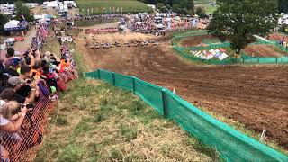 Sidecarcross 9GP Strassbessenbach 22072018 Race1 Start Slomo [upl. by Lowndes449]