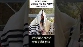 Le Tsadik Yénouka  se rappeler du Beith Hamikdach avec le Tikoun Hatsottorah [upl. by Hessler126]