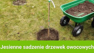 Jesienne sadzenie drzewek owocowych [upl. by Keely]