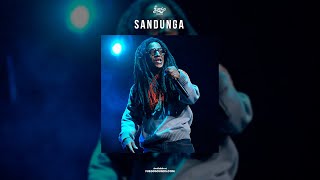 SANDUNGA  Reggaeton Bachata x Mambo Beat Instrumental  Don Omar x Tego Calderon Type beat  2023 [upl. by Idnahr]