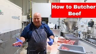 How to Butcher a Beef Step by Step the Entire Breakdown [upl. by Artina761]