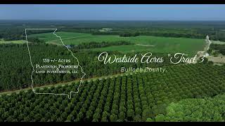 Westside Acres Tract 3  139± Acres in Bulloch County GA [upl. by Igic]