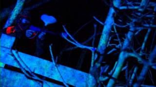 Blacklight Paintball Maasbree [upl. by Tremain]