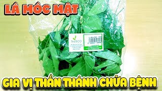 Review Lá Móc Mật Gia Vị Thần Thánh  Clausena indica leaf   Văn Hóng [upl. by Adnot]