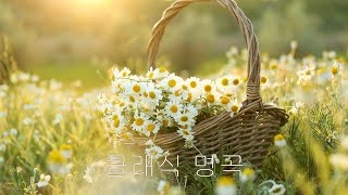 Relaxing Music Korean 광고없음NO ADS 클래식 명곡 베스트  부드러운 아침을 위한 명곡 클래식 음악 모음 [upl. by Sami]