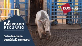 Boi gordo oferta mais enxuta sustenta tendência de alta da arroba [upl. by Sass505]