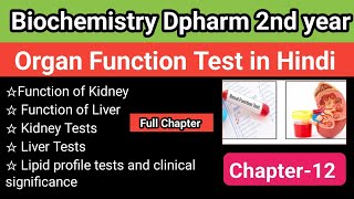 Biochemistry chapter 12 in hindi  organ function test  function of Kidney  function of Liver [upl. by Danica]