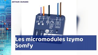 Les micromodules Izymo Somfy  la domotique à portée de tous [upl. by Novled]