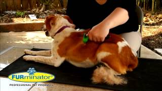 Furminator info video [upl. by Andre]