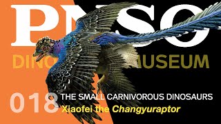 018 Xiaofei the Changyuraptor  The Small Carnivorous Dinosaurs  PNSO DINOSAUR MUSEUM Season III [upl. by Retsof]