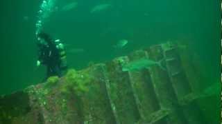 Destin Dive Sites  Thomas Hayward Liberty Ship [upl. by Ewan284]