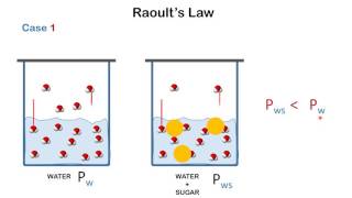 Raoults Law [upl. by Petrine]