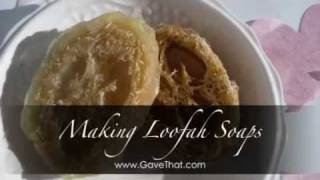 How to harvest a loofah sponge [upl. by Mintun]