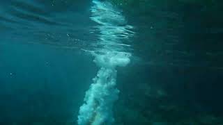 Cliff jumping in Crystal Lagoon Malta Comino island [upl. by Eph]