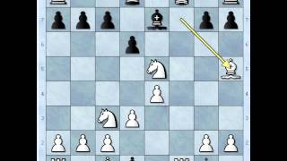 Becki gambit igran kao valcer  ZUKERTORT vs NN  483 [upl. by Enyledam]