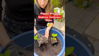 Don’t make this mistake 🚫beginnergardener gardening gardeningadvice [upl. by Ennasil158]