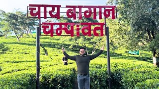 PAHAD CHAD KE THAK GAYE  Chai Bagan in Champawat Uttrakhand  Batuni India Vlogs [upl. by Nyletac]