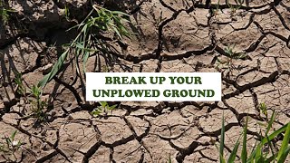 Break Up Your Unplowed Ground [upl. by Melva]