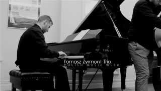 Tomasz Zyrmont Trio promotional video [upl. by Leuams201]