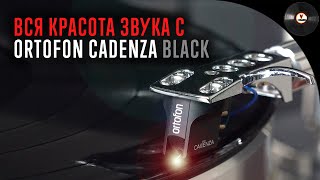 Вся красота звука с Ortofon Cadenza Black [upl. by Anaoy]