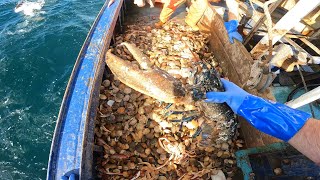 A day on a Trawler🎣🎣🇮🇲🇮🇲 [upl. by Brig]