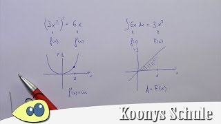 ableiten und integrieren wozu Unterschied erklärt [upl. by Ozne901]