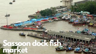 ससून डॉक फिश मार्केट  Sassoon dock fish market  Colaba fish market  fishmarket [upl. by Nosak]