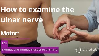 How to examine the ulnar nerve  watch orthohub examinations with UK orthopaedic surgeon Tom Quick [upl. by Atteiram]