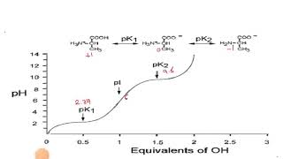 Ch3 Amino Acid part 5 Titration curve of basic amino acids Histidine and Lysine [upl. by Abbottson552]