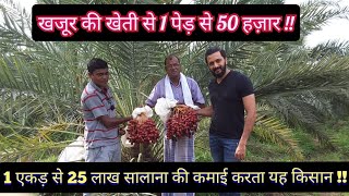 खजूर की खेती से 1 पेड़ से 50 हजार की कमाई  Date Plantation in India  Hello Kisaan [upl. by Palermo479]