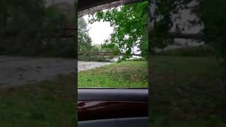 Hurricane Helene Did This 😱 shorts vlog vlogsshort vlogging [upl. by Adlesirg195]