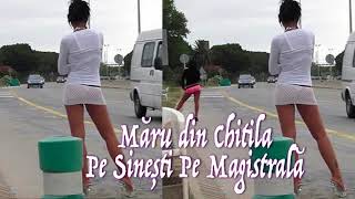 Maru din chitila La Sinesti pe Magistrala 2015 REUPLOAD [upl. by Conway]