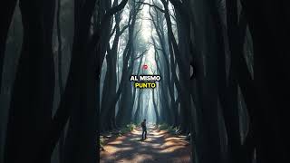 ¡El Laberinto Invisible misterios aventura bosque historias leyendas [upl. by Pliske]