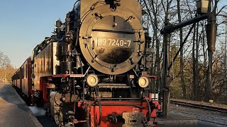 🌲🍁🍂🚂 99 7240 Zwischen Wernigerode Hauptbahnhof und Wernigerode  Westerntor 10112024 🚂🍂🍁🌲 [upl. by Micro]