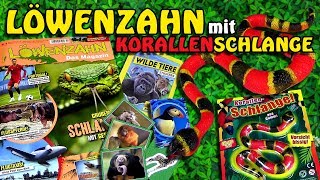 Löwenzahn mit Gummi KorallenSchlange amp Wilde Tiere Sticker  Unboxing amp Review [upl. by Hendrickson]