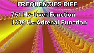 Healing RIFE FREQUENCIES751 Hz1335 HzStimulates amp Normalizes Body FunctionsEmotional amp Physical [upl. by Annal]