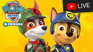 🔴 NEW PAW Patrol Season 10 Jungle Rescue Rescue Wheels Mighty Pups  All Day Cartoon Live Stream [upl. by Suter]