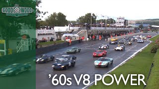 Whitsun Trophy Highlights  Goodwood Revival 2017 [upl. by Itnahs]