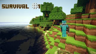 Minecraft Survival 121 1 [upl. by Samal763]