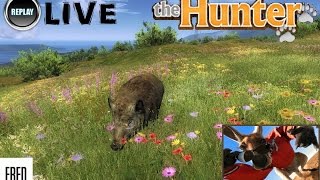 Jai croisé JACK   The HUNTER  Replay Live n°3 [upl. by Llerahc]