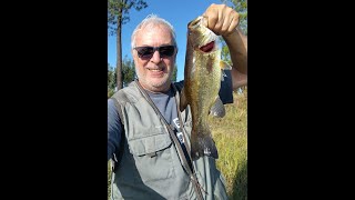 Pesca ao Achigã  Jornada de Margem  Parte II catchandrelease pescaliberta [upl. by Nageet]