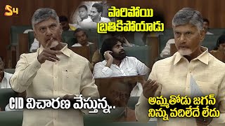 CM Chandrababu Naidu Satirical Comments On YS Jagan At AP Assembly  Deputy CM Pawan Kalyan [upl. by Ilatfan771]