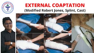 External Coaptation  Lecture 06  Orthopedics [upl. by Nhguavad]