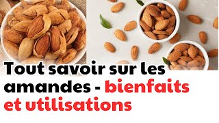 Tout savoir sur les amandes  bienfaits et utilisations  CDT NEWS [upl. by Colston]