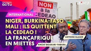 NIGER MALI ET BURKINA FASO QUITTENT LA CEDEAO  LA FRANÇAFRIQUE EN MIETTES [upl. by Pavel281]