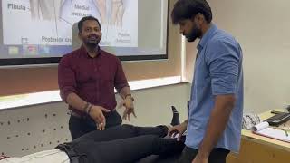 Lachman Test For Anterior Cruciate Ligament Rupture  Knee Examination Special Test [upl. by Shiau]