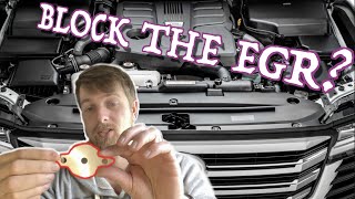 EGR Blank Delete Or Removal Common Rail Diesel Should You do it Pros amp Cons [upl. by Nader25]