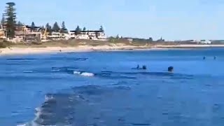 COTTESLOE BEACH PERTH WESTERN AUSTRALIA TRENDING SHORTVIDEO [upl. by Hsotnas]