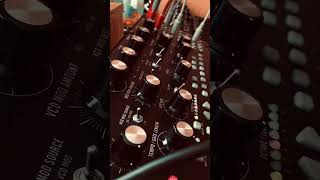 Creating Futuristic Organic Fast Synth Sounds  Moog Mother32 [upl. by Brose]